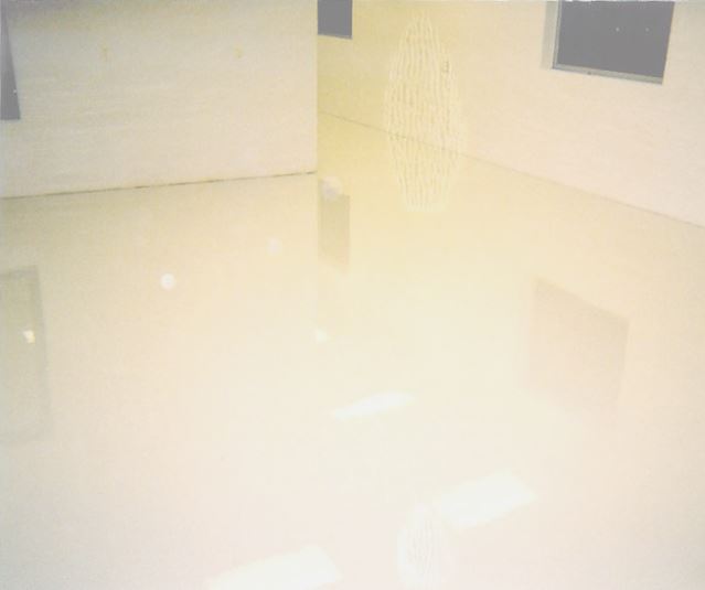 Ortho Molecular Products floor and wall system